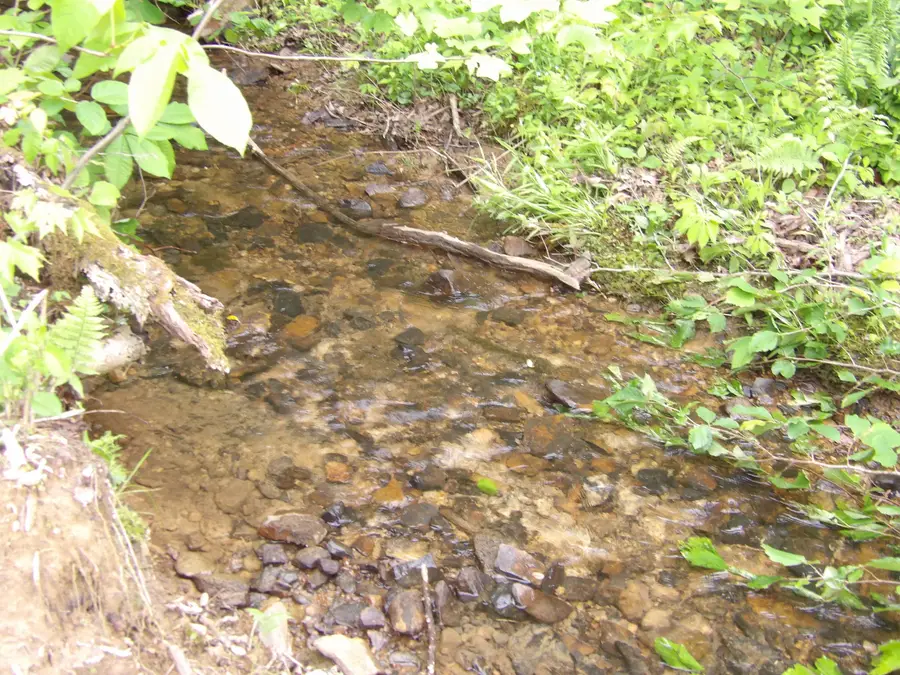 000 Overview Road, Crossville, TN 38572 - Image #3