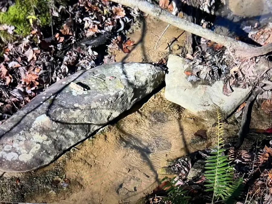 245 Hill Road, Crossville, TN 38572 - Image #3