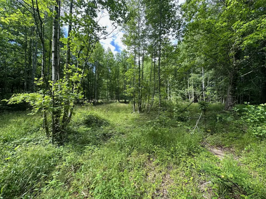 5201 Highway 150, Sequatchie, TN 37374 - Image #3