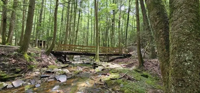 0 Oak Leaf Lane #553,556 & 557, Dunlap, TN 37327 - Image #1