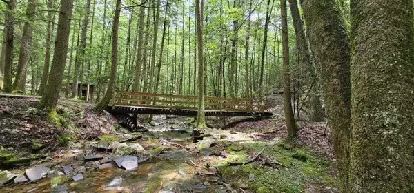 0 Oak Leaf Lane #553,556 & 557, Dunlap, TN 37327