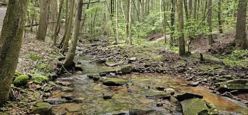 0 Oak Leaf Lane #553,556 & 557, Dunlap, TN 37327 - Image #2