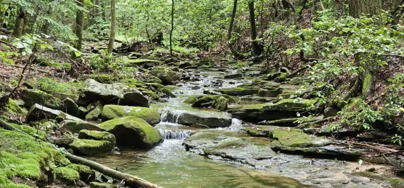 0 Oak Leaf Lane #553,556 & 557, Dunlap, TN 37327 - Image #3