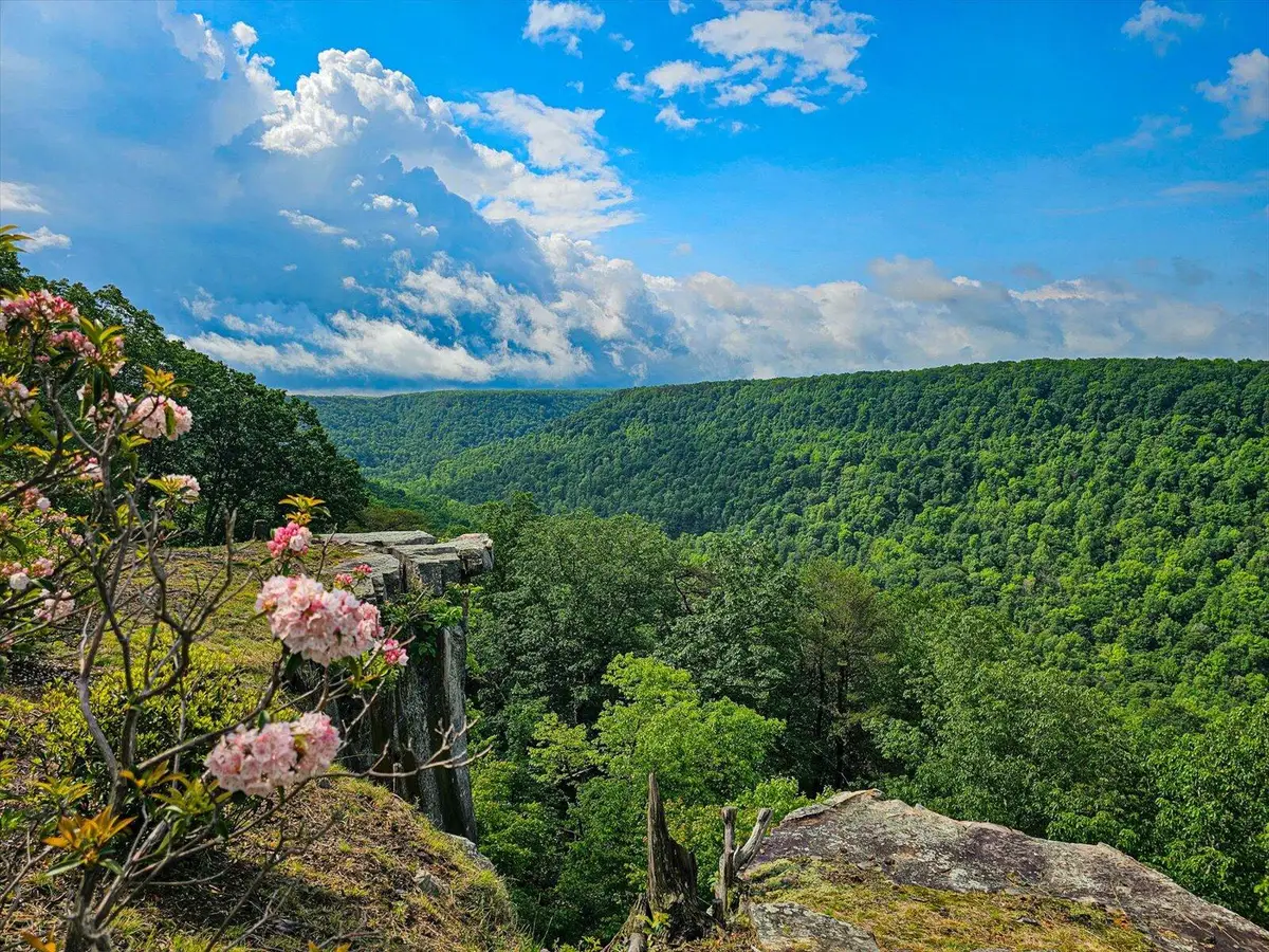 110 Falls Lane, Spencer, TN 38585 - Image #1