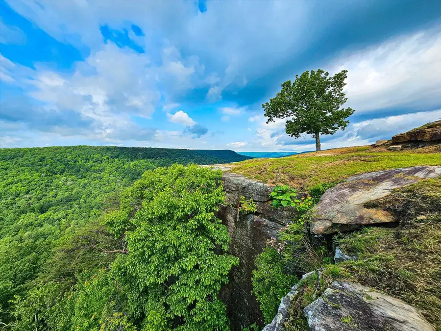 110 Falls Lane, Spencer, TN 38585 - Image #2