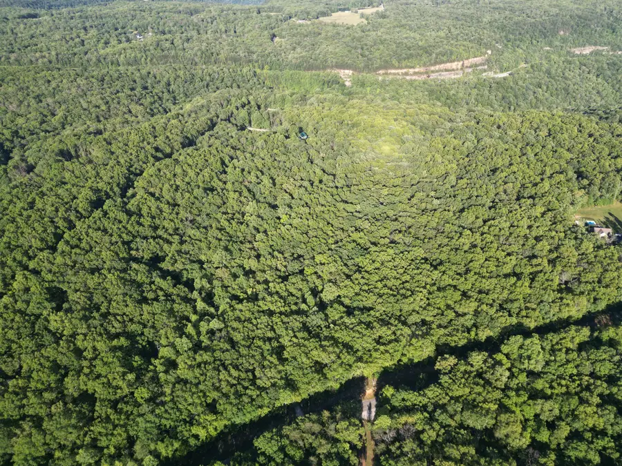 0 Laurel Lake Drive #Lot 5, Monteagle, TN 37356 - Image #2