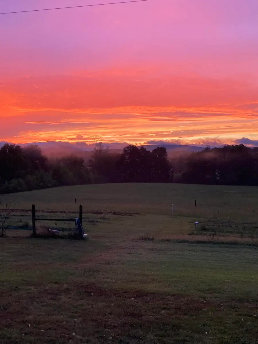 517 Possum Trot Road, Grandview, TN 37337 - Image #2