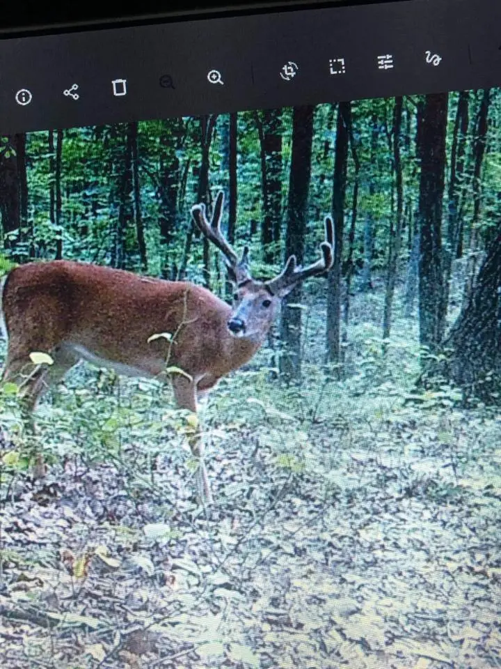 3692 Pan Gap Circle, Chattanooga, TN 37419 - Image #3