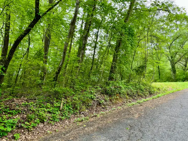 Lot 25 Omega Drive, Whitwell, TN 37397