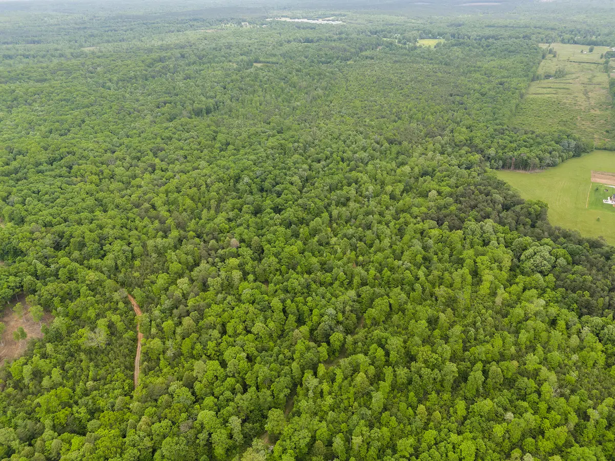 2361 Colony Road, Gruetli Laager, TN 37339 - Image #1