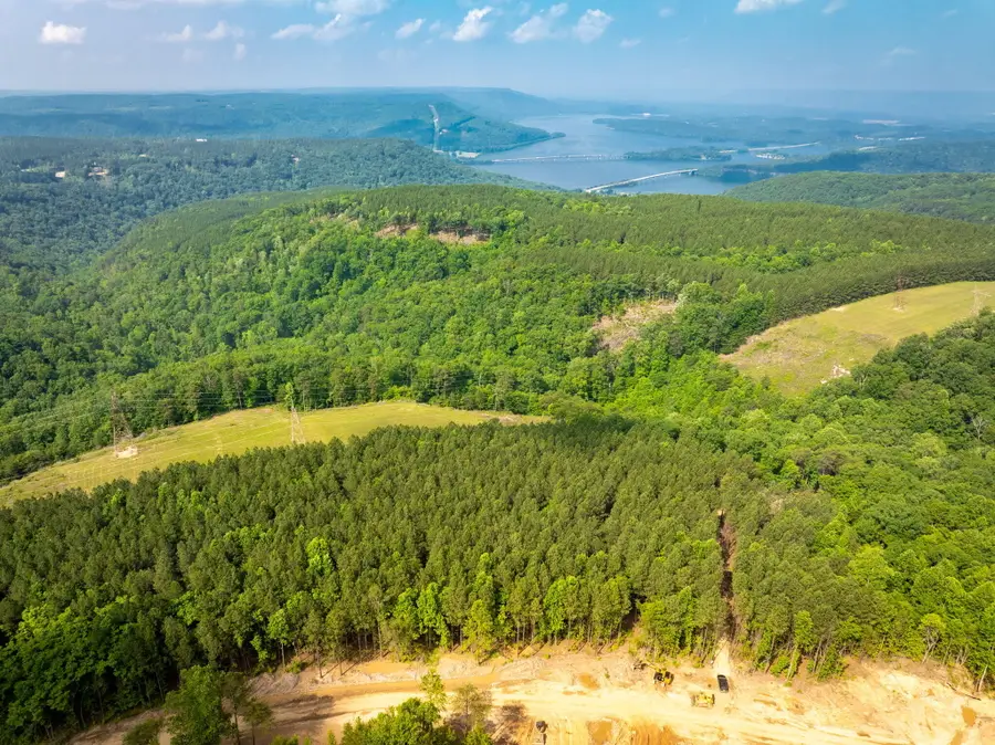 0 Split Rail Way #,Lot 1193, Guild, TN 37340 - Image #2