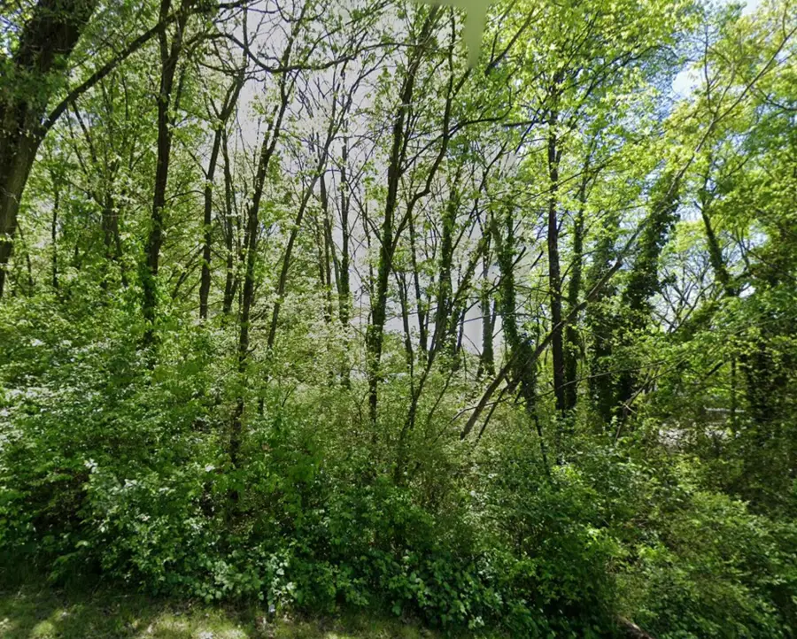 0 E 42nd Street, Chattanooga, TN 37407 - Image #3