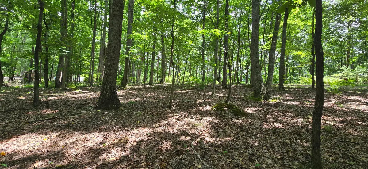 300 Canaan Lane, Rising Fawn, GA 30738 - Image #1