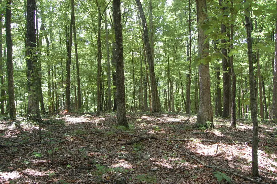 300 Canaan Lane, Rising Fawn, GA 30738 - Image #3