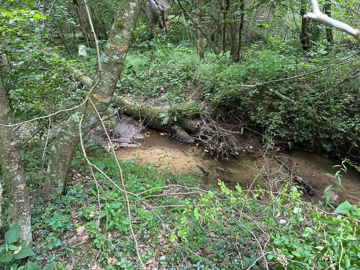 10 Sr 108, Gruetli Laager, TN 37339 - Image #1