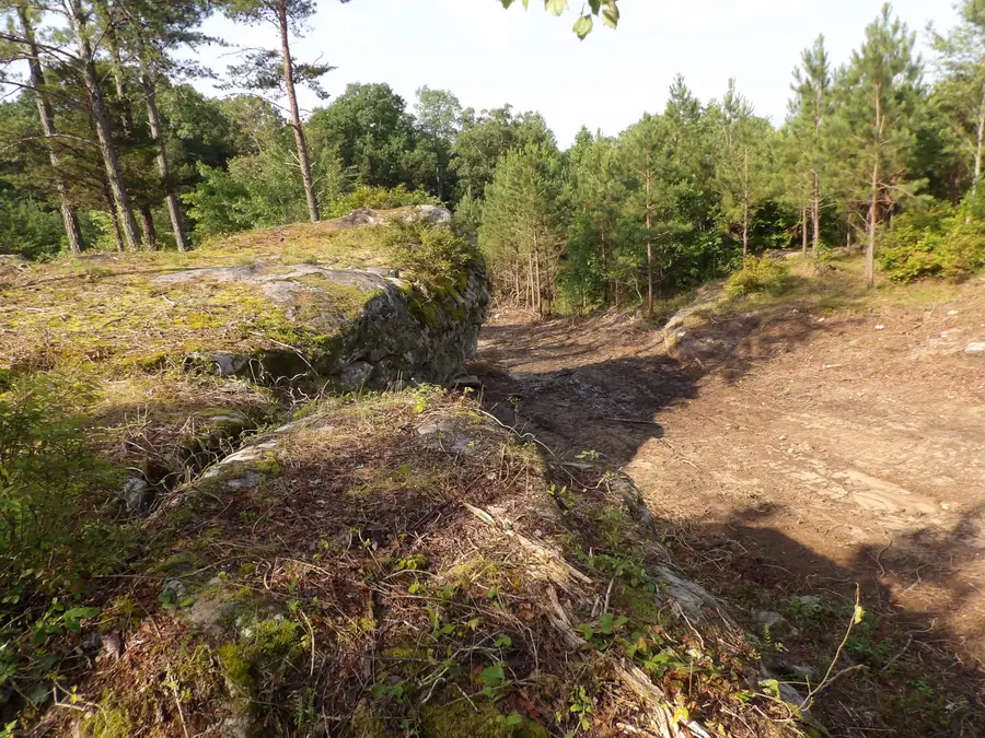 01 Summer City Road, Evensville, TN 37332 - Image #3