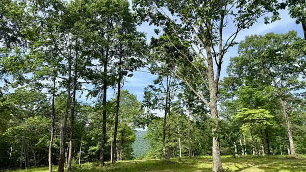 Lot 4 Hobbstown Road #4, Dunlap, TN 37327