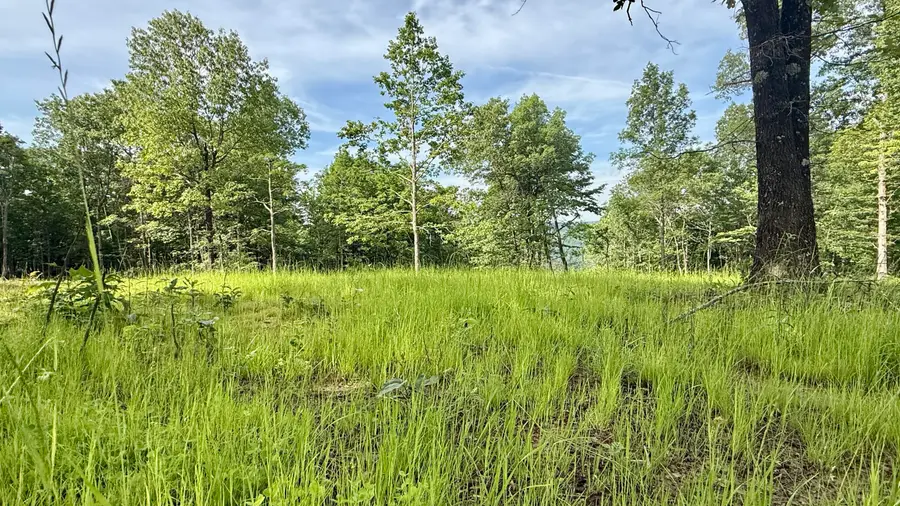 Lot 4 Hobbstown Road #4, Dunlap, TN 37327 - Image #3