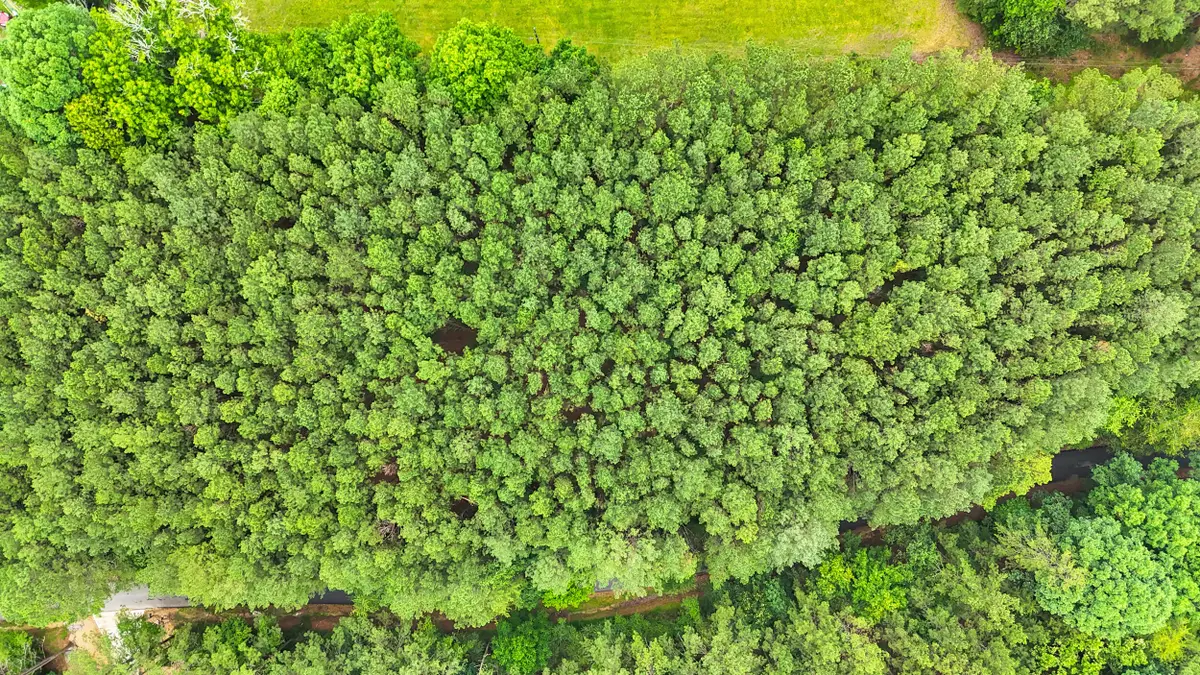 1637 Billingsley Road, Soddy Daisy, TN 37379 - #1