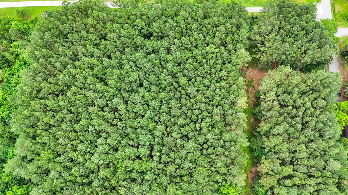 1645 Billingsley Road, Soddy Daisy, TN 37379 - #1