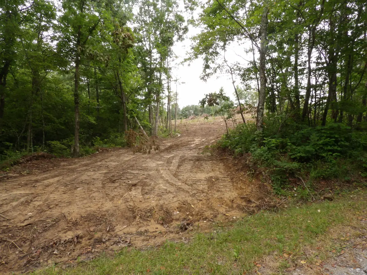 06 Hughes Cemetery Road, Evensville, TN 37332 - Image #1