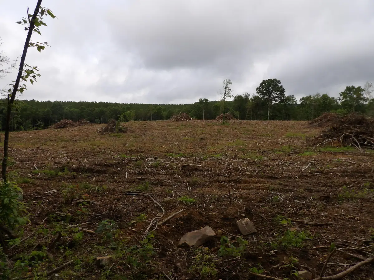 Lot 8 Hughes Cemetery Road, Evensville, TN 37332 - Image #1