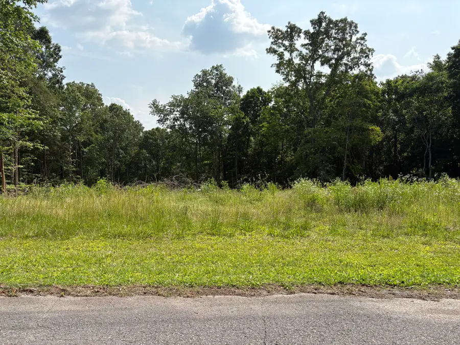 Lot 1 Robbie Drive, Whitwell, TN 37397 - Image #3