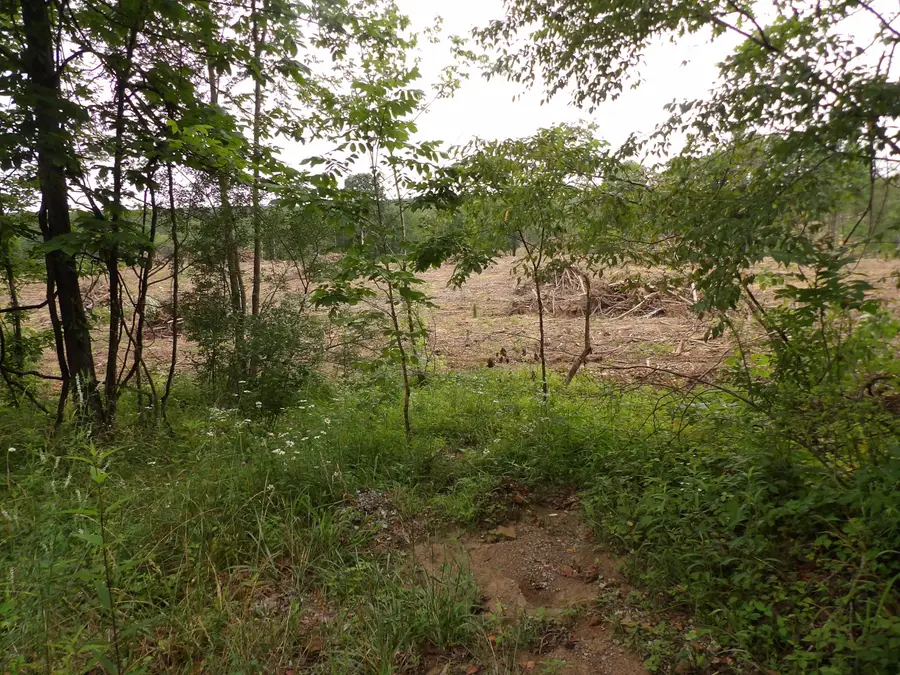 Lot 9 Hughes Cemetery Road #9, Evensville, TN 37332 - Image #3