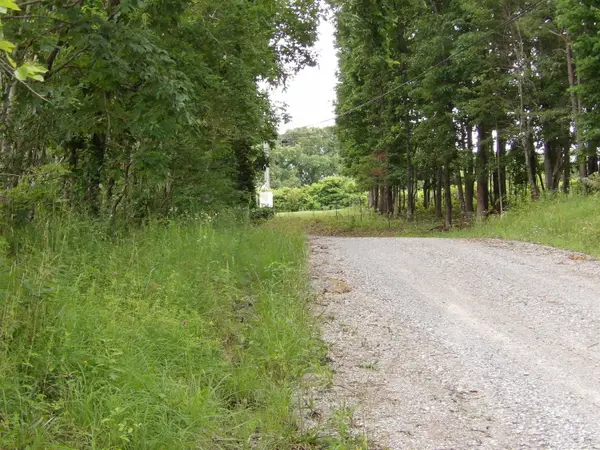 Lot 10 Hughes Cementery Road, Evensville, TN 37332