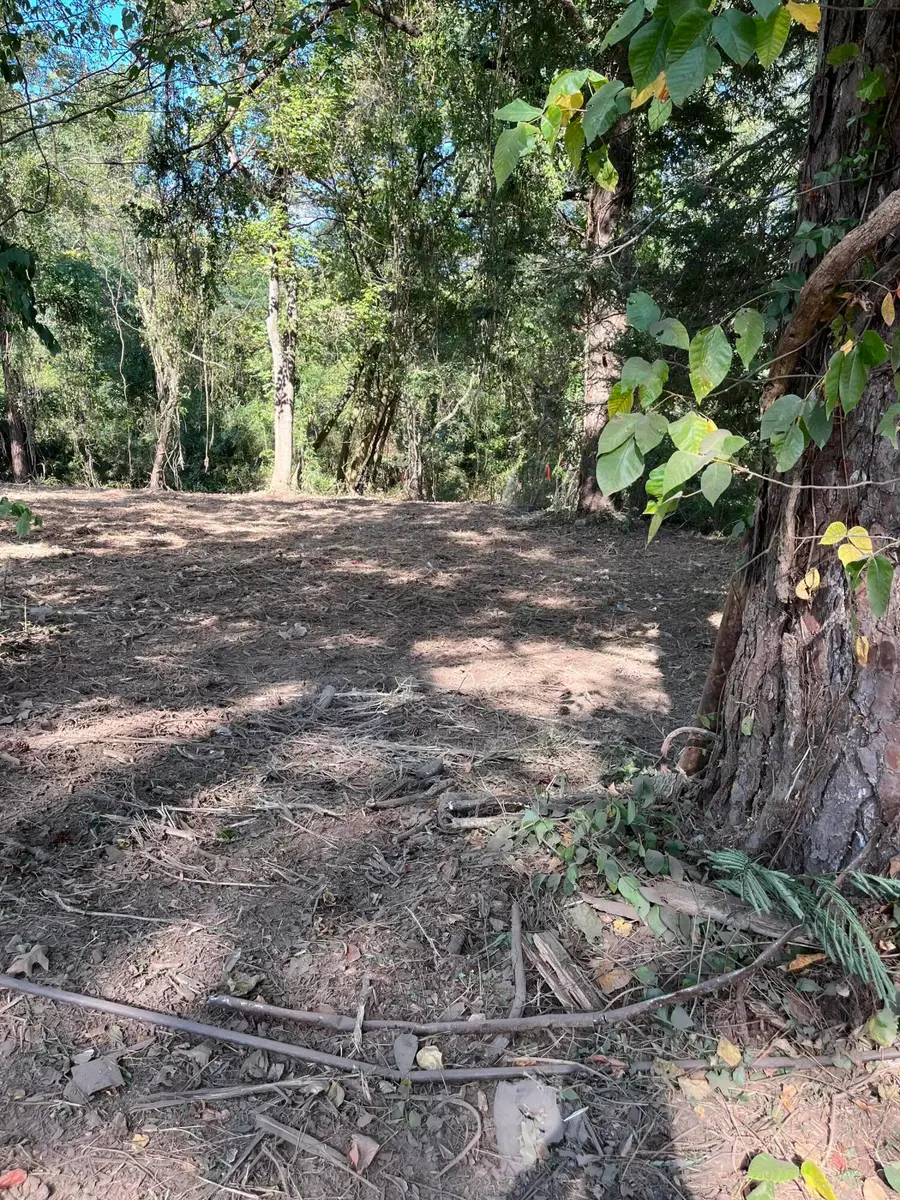 3713 Shamrock Drive, Chattanooga, TN 37406 - Image #2