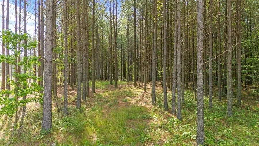 0 Serenity Way #1166, Guild, TN 37340 - Image #2