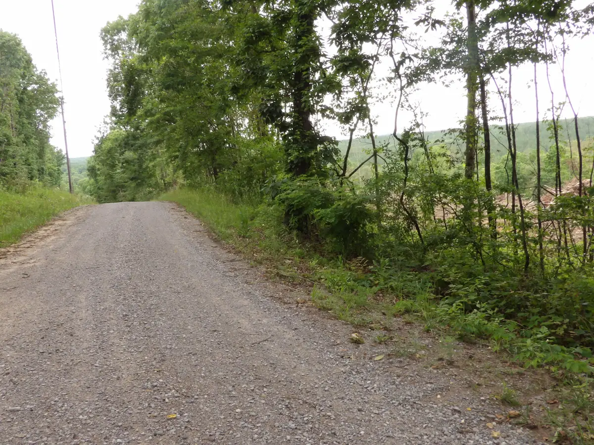 Lot 11 Hughes Cemetery Road, Evensville, TN 37332 - Image #1