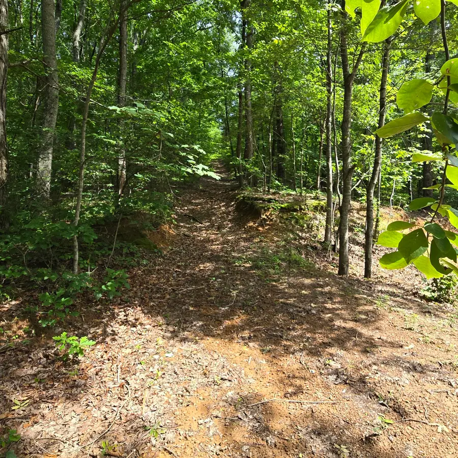 185 Co Rd 179, Decatur, TN 37322 - Image #2