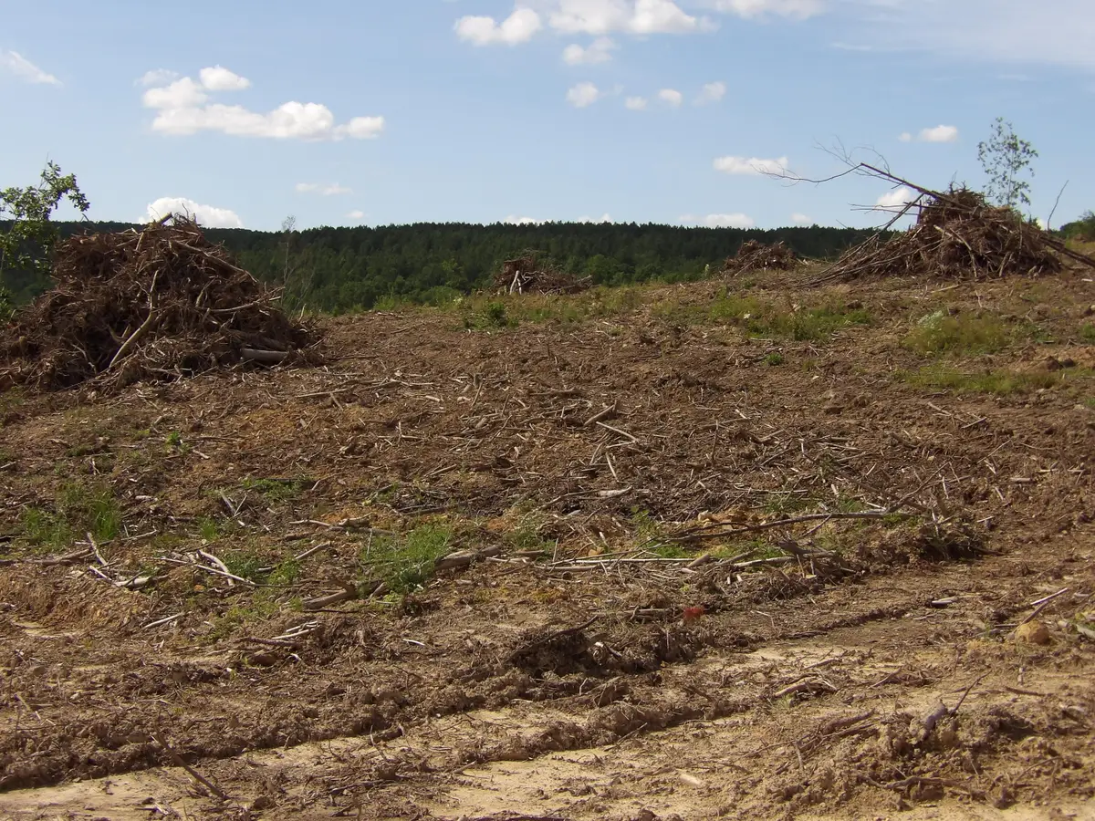 Lot 13 Summer City Road, Evensville, TN 37332 - Image #1