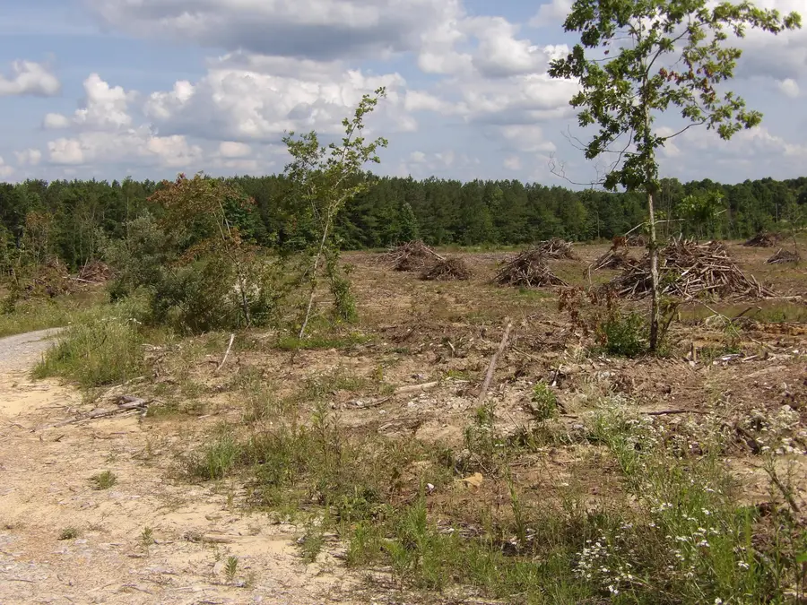 Lot 17 Summer City Road, Evensville, TN 37332 - Image #2
