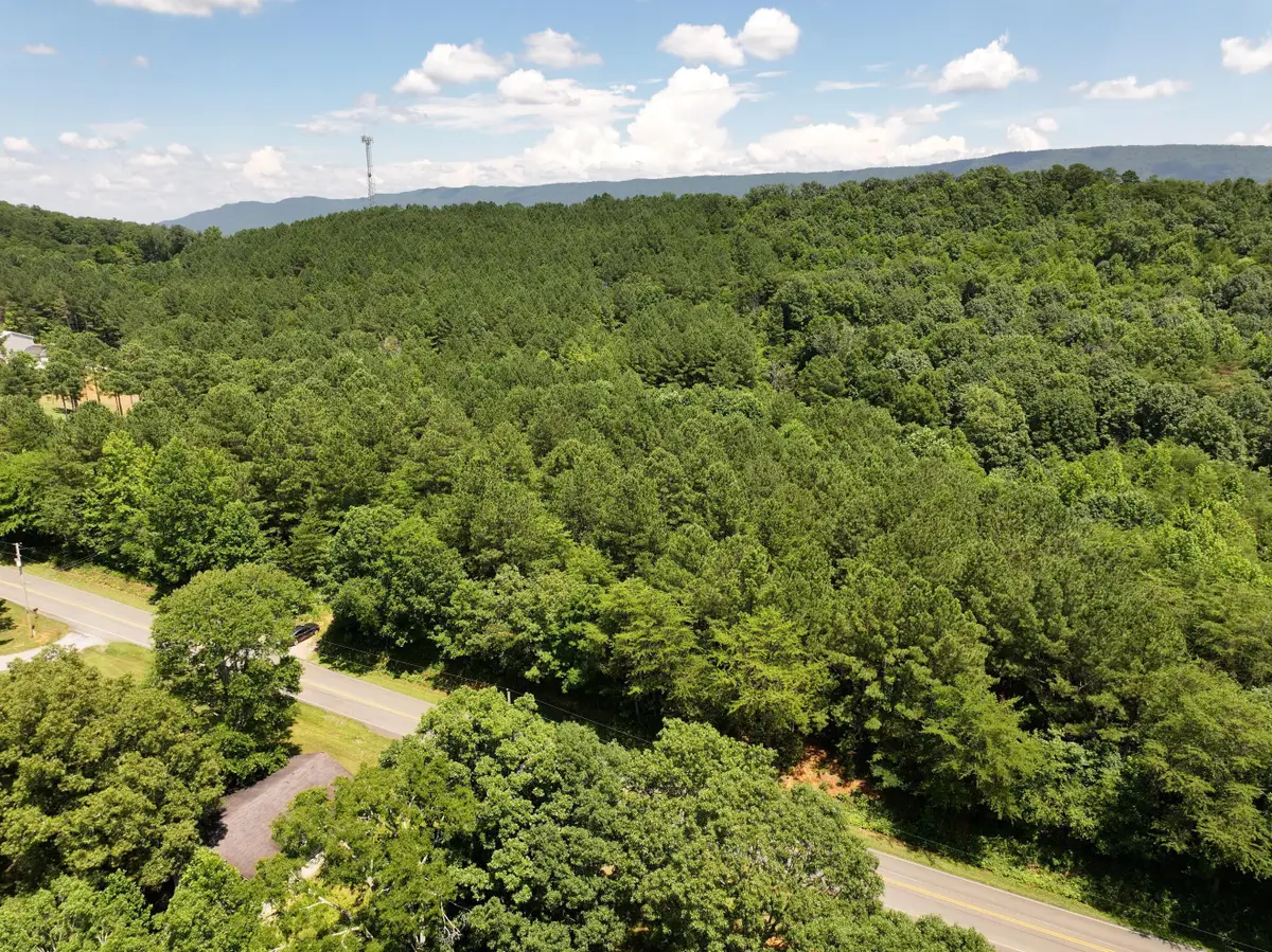 00 County Road #609, Etowah, TN 37331 - Image #1