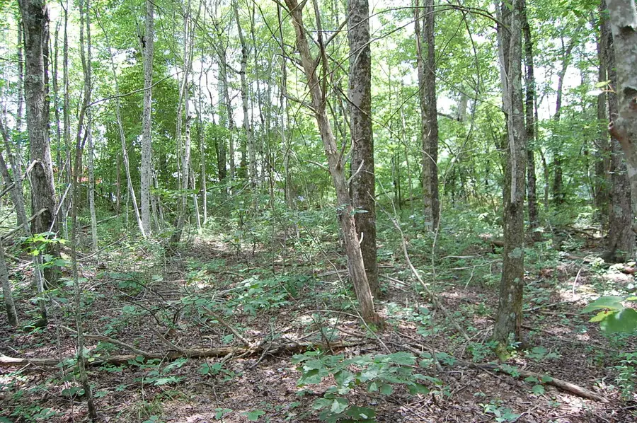 10 Laural Brook Road, Dunlap, TN 37327 - Image #3