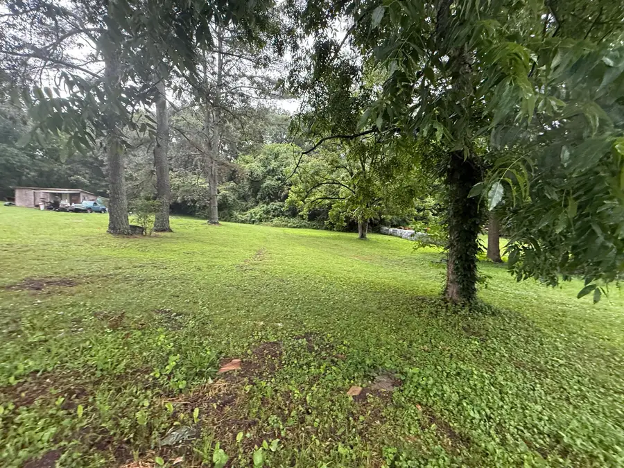 0 Diamond Avenue, Bridgeport, AL 35740 - Image #2