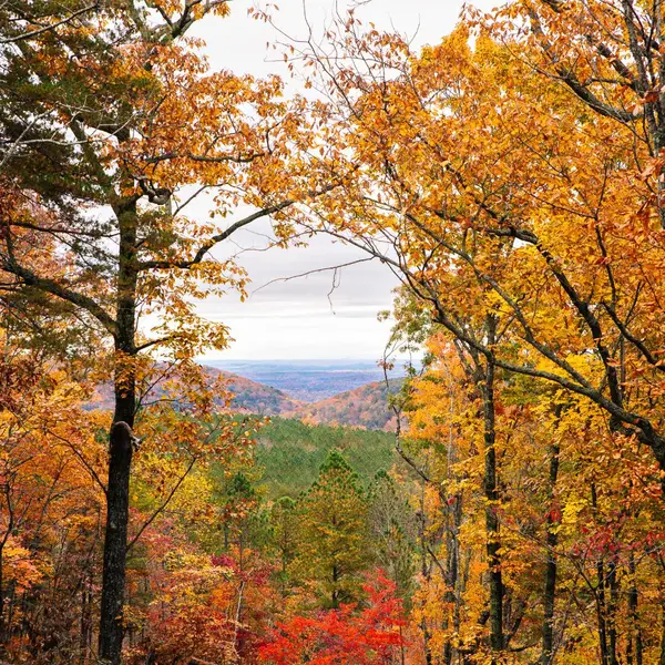 0 Worley Road #Lot 14, Soddy Daisy, TN 37379