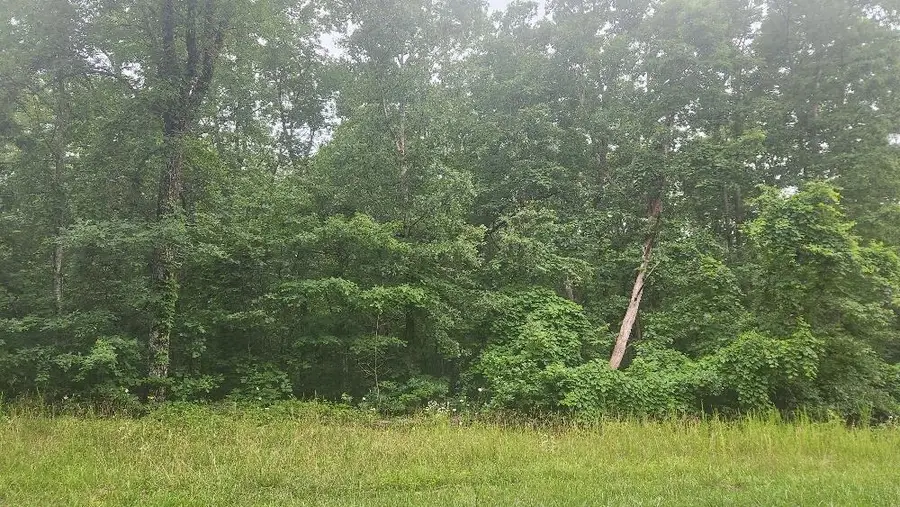 Lot 561 Simmons Road, Pikeville, TN 37367 - Image #3