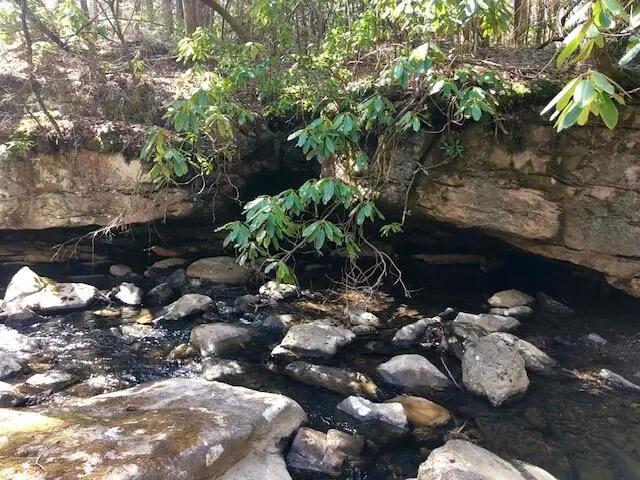 0 Sullivan Mill Lane, Graysville, TN 37338 - Image #3