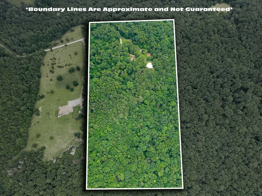 627 County Road 331, Bryant, AL 35958 - Image #3