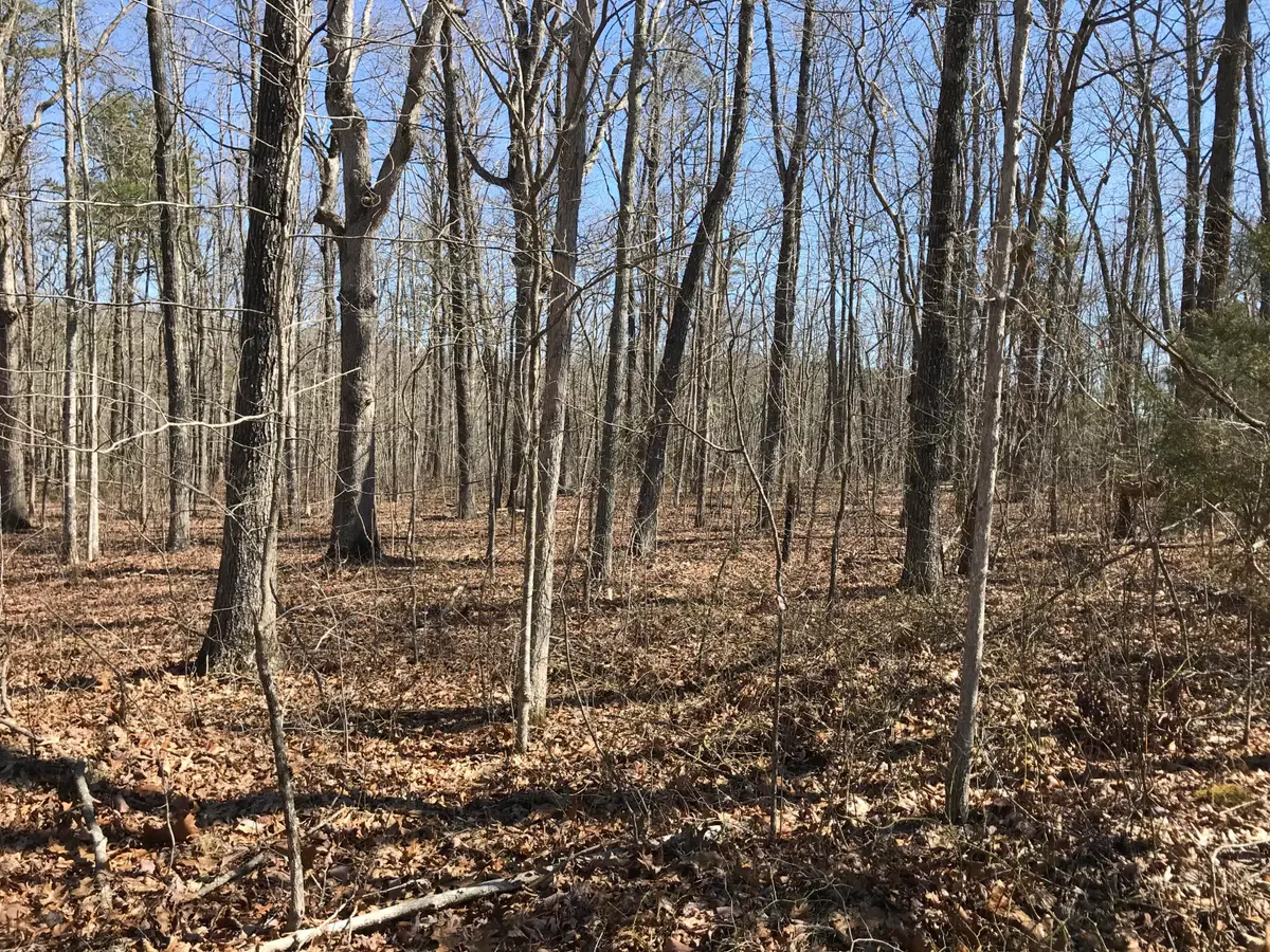 3 Deerhead Road #3, Dunlap, TN 37327 - Image #1