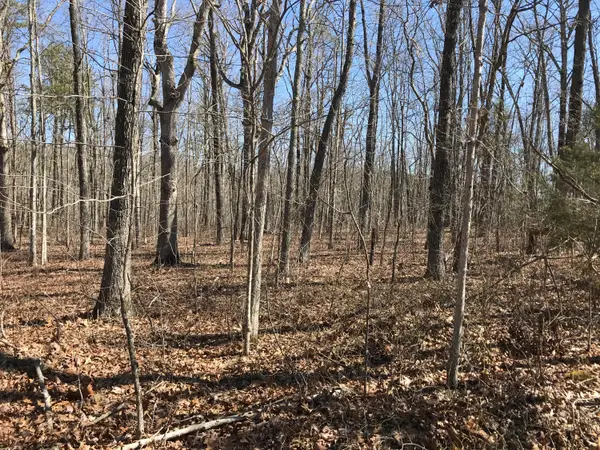 3 Deerhead Road #3, Dunlap, TN 37327