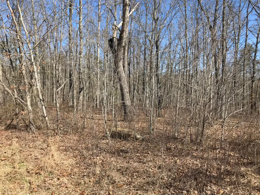 3 Deerhead Road #3, Dunlap, TN 37327 - Image #2