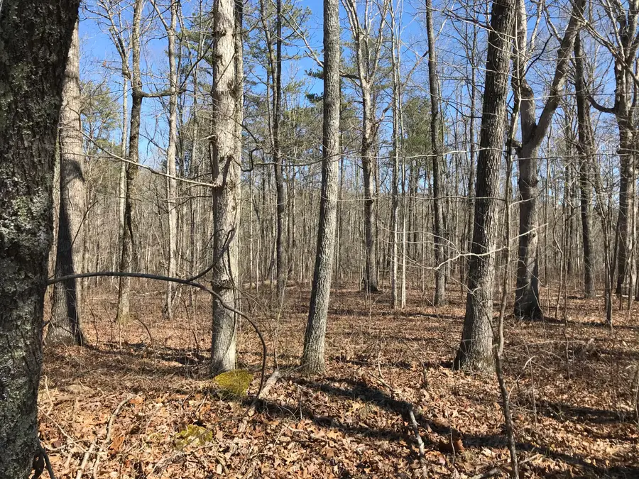 3 Deerhead Road #3, Dunlap, TN 37327 - Image #3