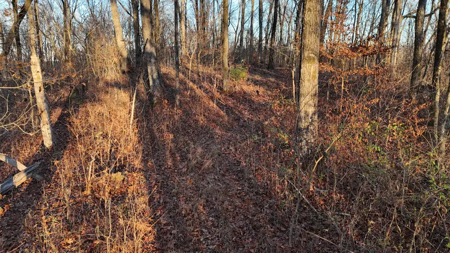 000 Chestuee Drive Ne, Cleveland, TN 37323 - Image #2