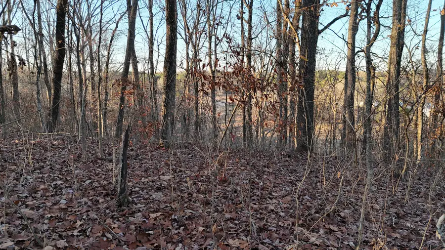 000 Chestuee Drive Ne, Cleveland, TN 37323 - Image #3