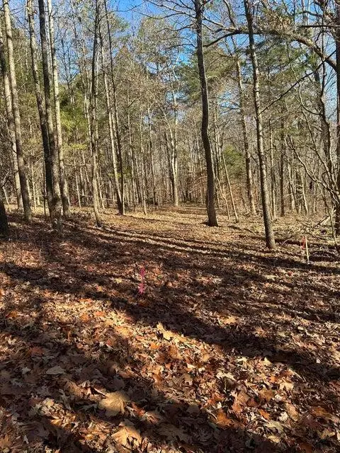 Lot 2 Lower River Road Nw, Charleston, TN 37310 - Image #1
