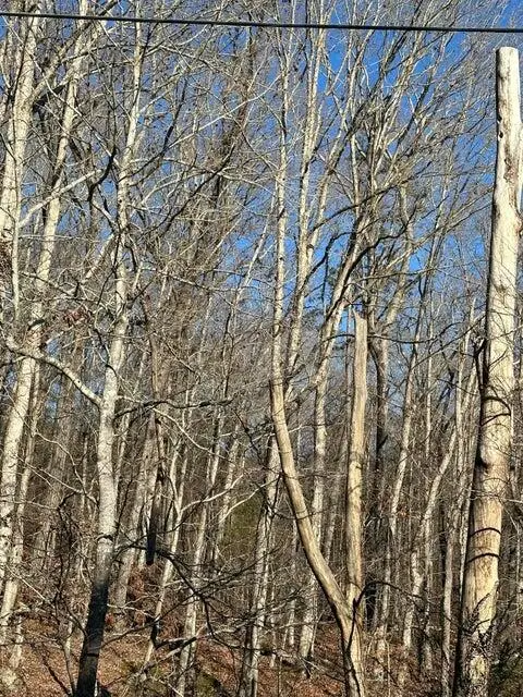 Lot 2 Lower River Road Nw, Charleston, TN 37310 - Image #2